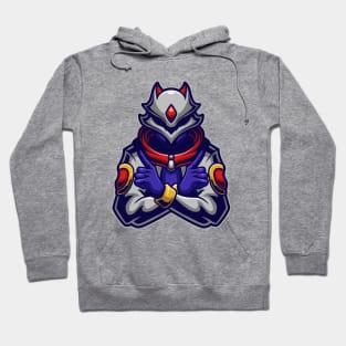 Masked assassin Hoodie